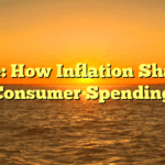Title: How Inflation Shapes Consumer Spending
