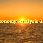 Economy Analysis 321