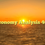 Economy Analysis 463