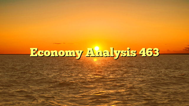 Economy Analysis 463